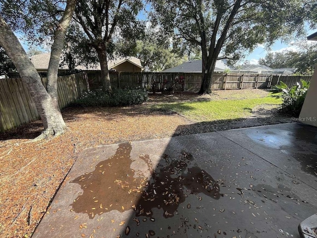 view of yard featuring a patio