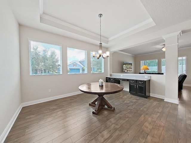 dining area with dark hardwood / wood-style flooring, a raised ceiling, and a healthy amount of sunlight