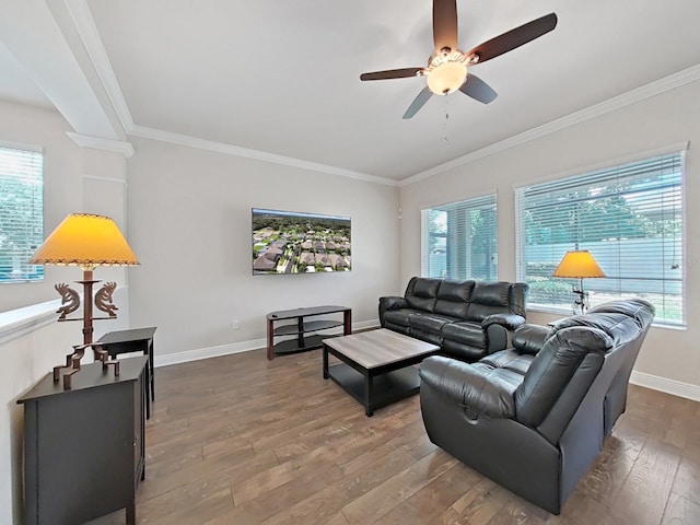 living room with hardwood / wood-style floors, ceiling fan, and crown molding