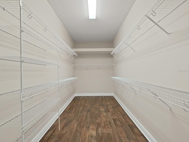 walk in closet featuring dark hardwood / wood-style floors