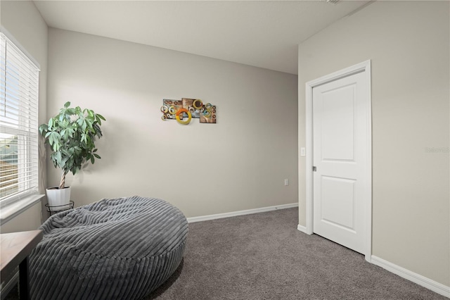 living area with carpet floors