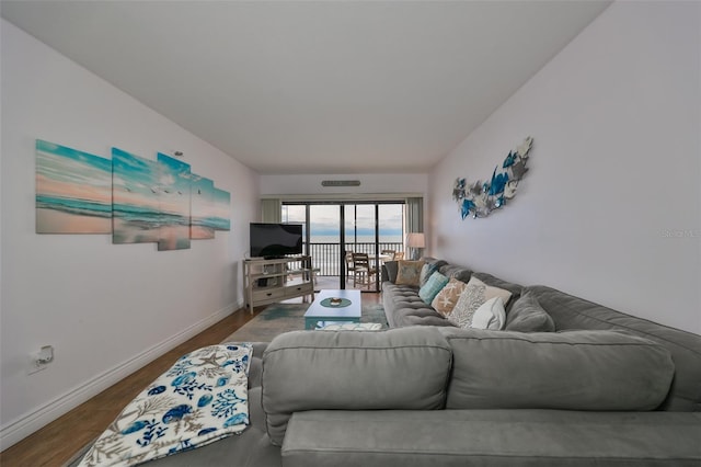 living room featuring hardwood / wood-style floors