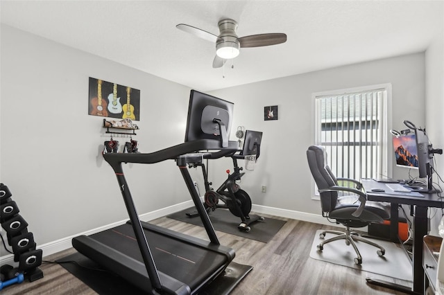 workout room with ceiling fan and hardwood / wood-style floors