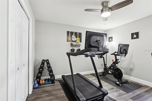 workout room featuring ceiling fan and wood-type flooring