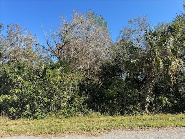 194 Ray St, Port Charlotte FL, 33954 land for sale