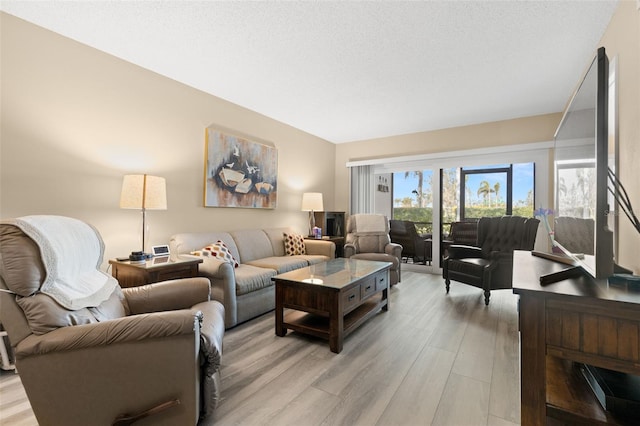 living room featuring a textured ceiling and light hardwood / wood-style floors