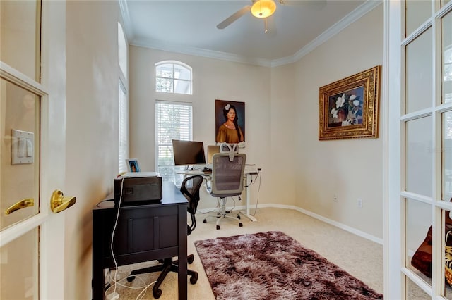 carpeted home office with ceiling fan and ornamental molding