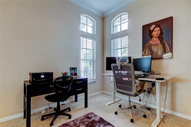 office space featuring light carpet and ornamental molding