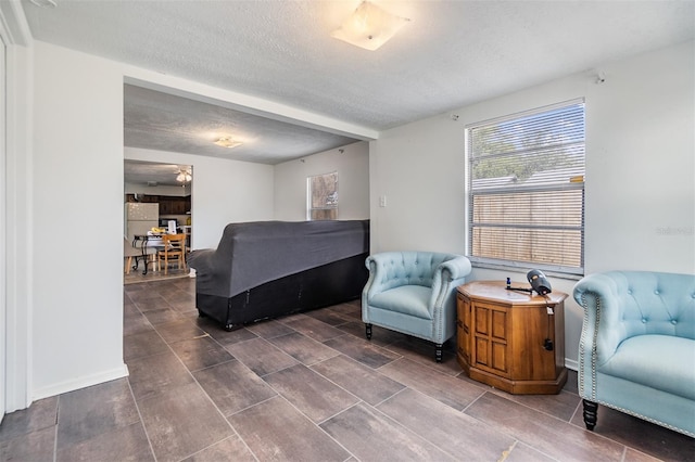 living area with a textured ceiling