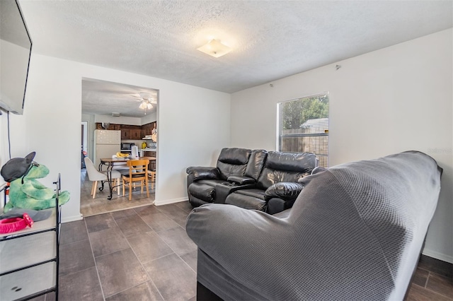 living room featuring a textured ceiling