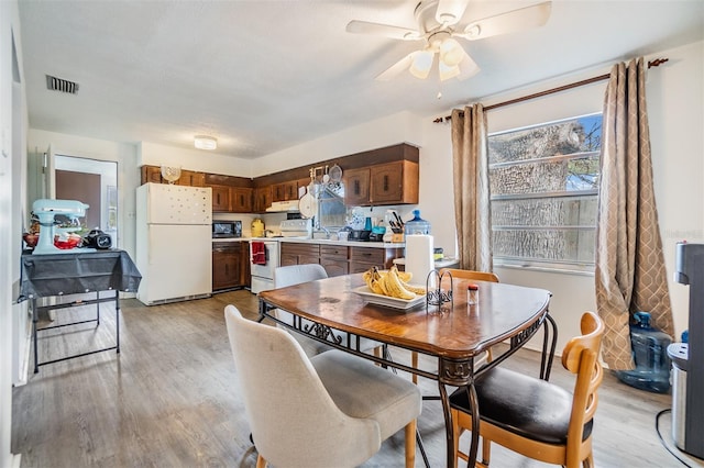 dining area with ceiling fan, sink, and light hardwood / wood-style floors