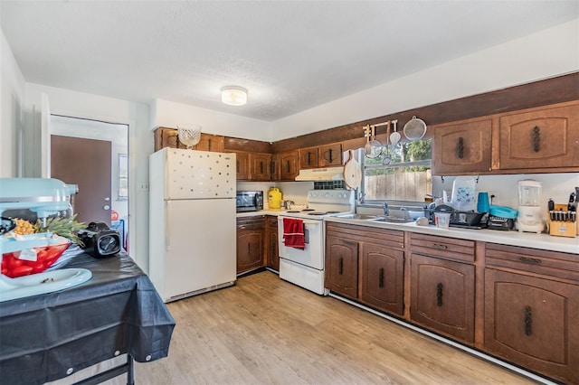 kitchen featuring sink, white appliances, and light hardwood / wood-style flooring