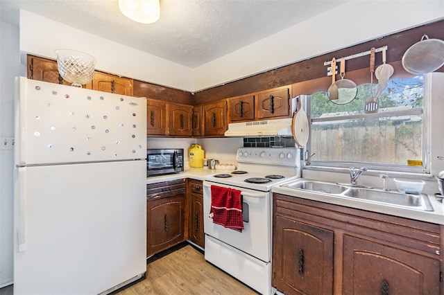 kitchen with white appliances, sink, light hardwood / wood-style flooring, and a textured ceiling