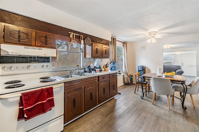 kitchen featuring white range with electric cooktop, light hardwood / wood-style floors, sink, and a wealth of natural light