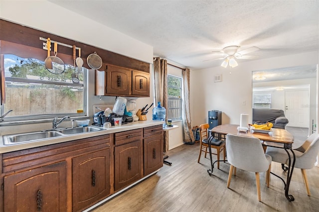 kitchen with ceiling fan, sink, a textured ceiling, and light hardwood / wood-style floors