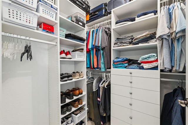 view of spacious closet