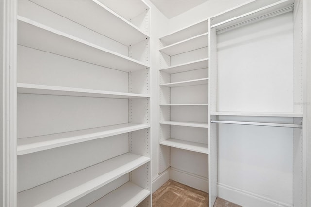 view of spacious closet