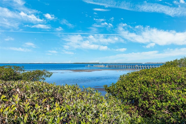 water view