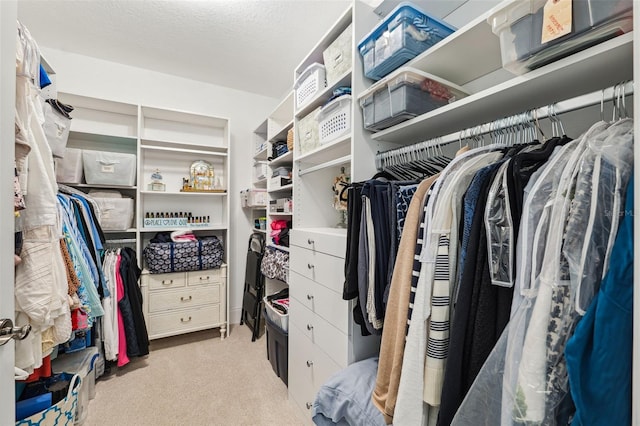 spacious closet with carpet flooring