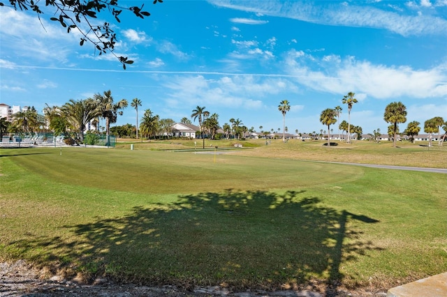 view of community with a yard