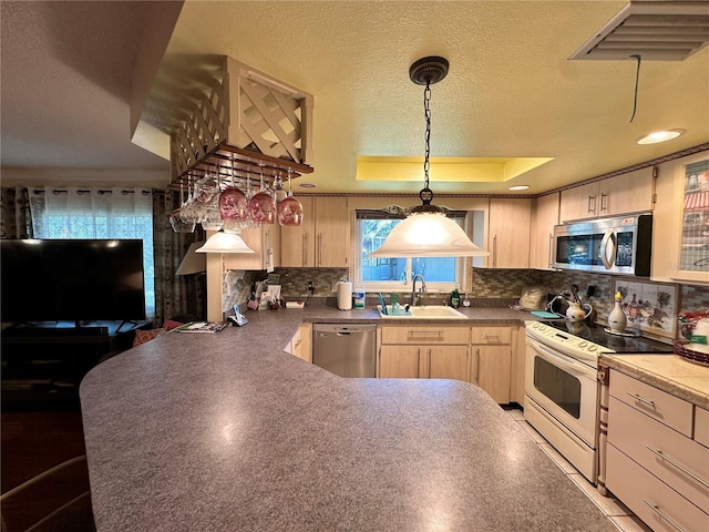 kitchen with light brown cabinetry, stainless steel appliances, a raised ceiling, and sink