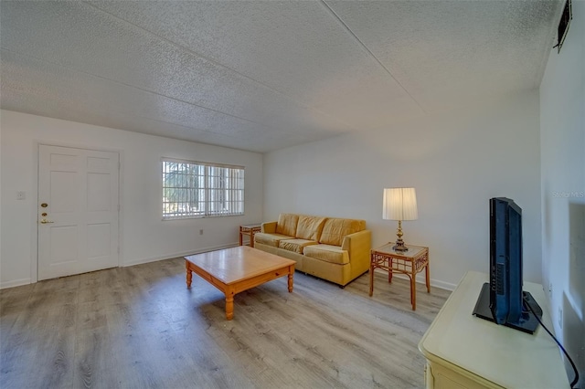 living room featuring light hardwood / wood-style flooring