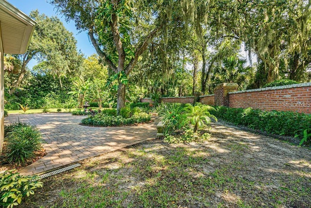 view of yard with a patio