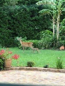 2 Laura Ct, Palm Coast, FL 32137 - photo 22