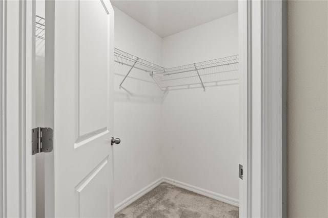 walk in closet with light carpet