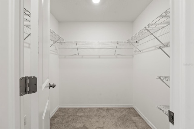 spacious closet with light colored carpet