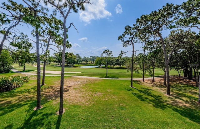 view of home's community with a yard and a water view