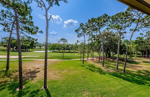 view of home's community with a lawn