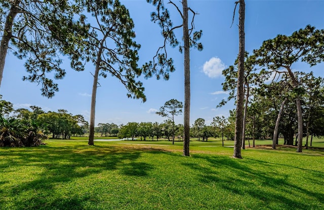 view of community featuring a lawn