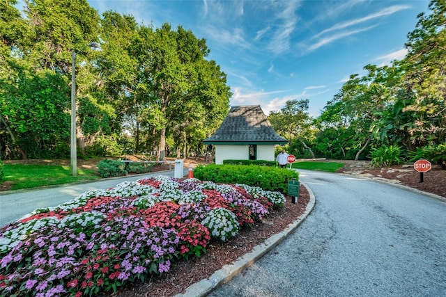 36750 US Highway 19 Unit 21-301, Palm Harbor, FL 34684 - photo 51