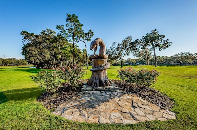 view of property's community featuring a yard