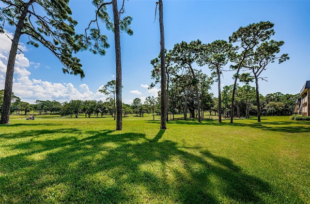36750 US Highway 19 Unit 21-301, Palm Harbor, FL 34684 - photo 85