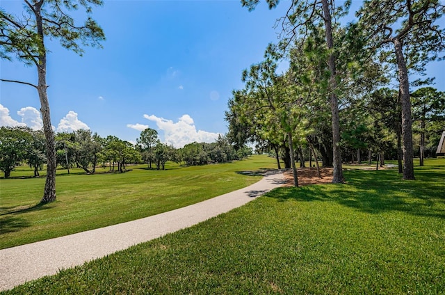 36750 US Highway 19 Unit 21-301, Palm Harbor, FL 34684 - photo 88