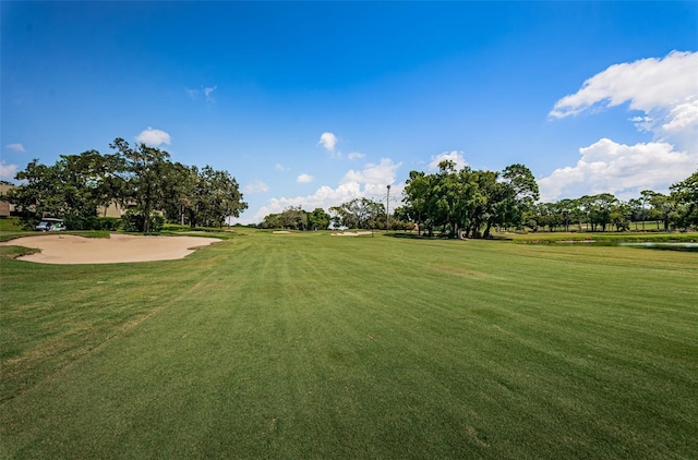 view of property's community with a yard