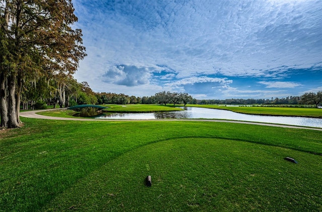 view of home's community featuring a water view and a lawn