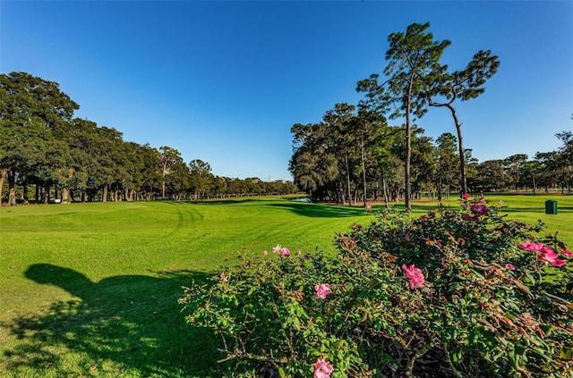 36750 US Highway 19 Unit 21-301, Palm Harbor, FL 34684 - photo 97