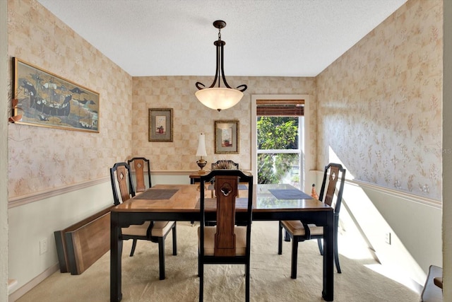 carpeted dining area with a textured ceiling