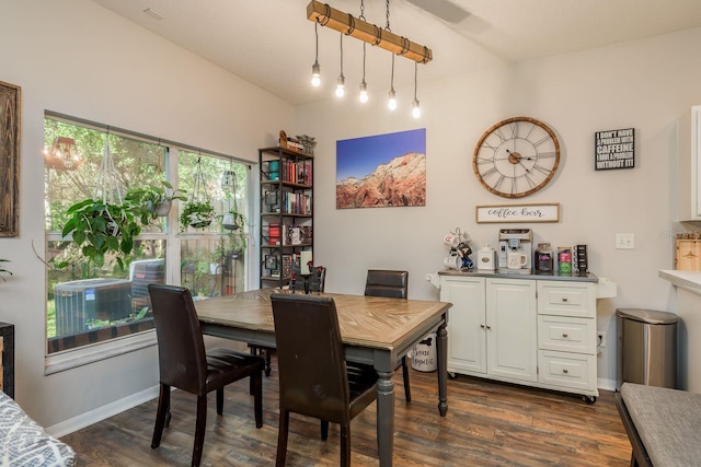 dining space featuring dark hardwood / wood-style flooring