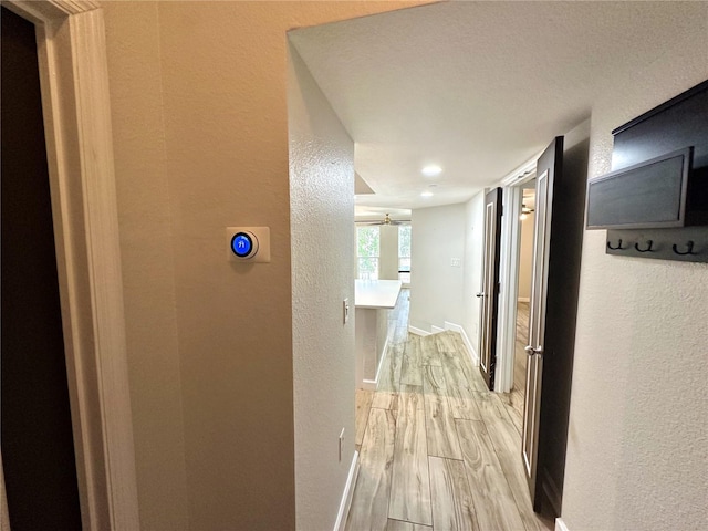 hall with light hardwood / wood-style floors