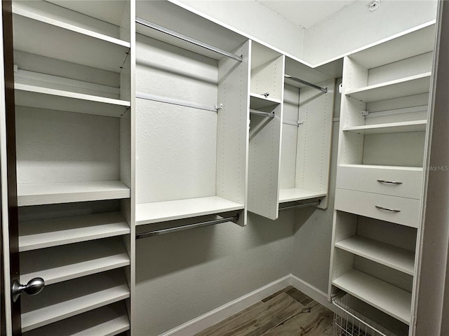 view of walk in closet