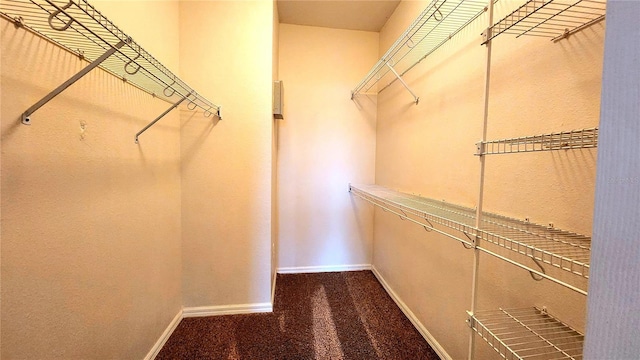 walk in closet featuring carpet