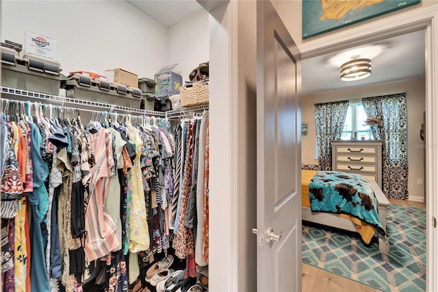 spacious closet featuring wood-type flooring