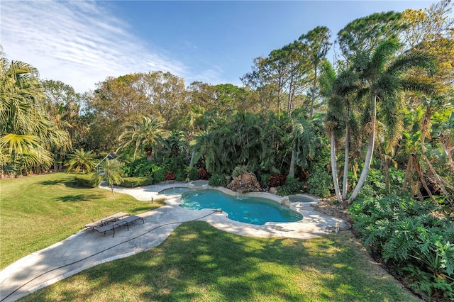 outdoor pool featuring a yard