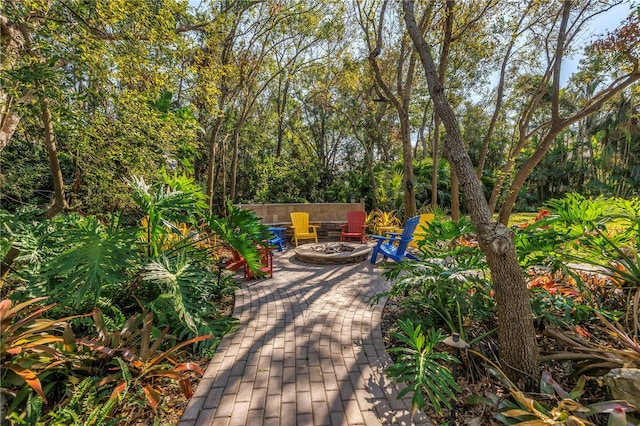 surrounding community featuring a patio area and a fire pit