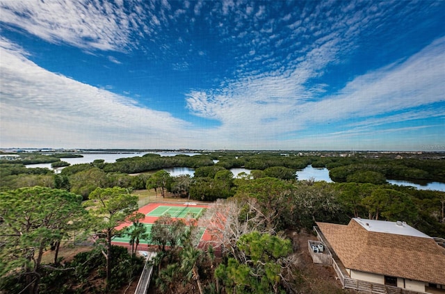 bird's eye view with a water view