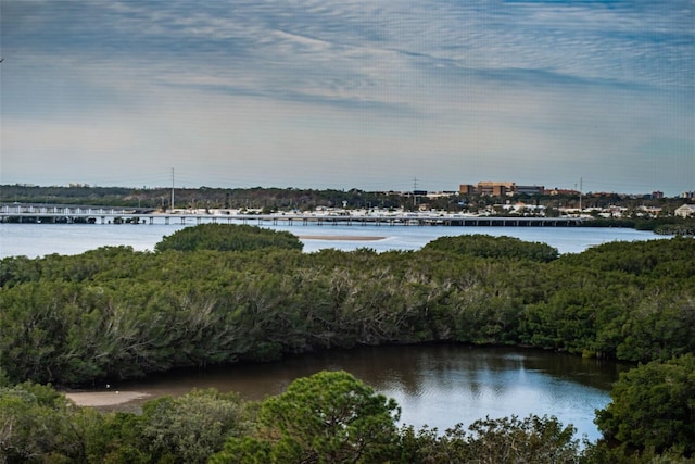 property view of water